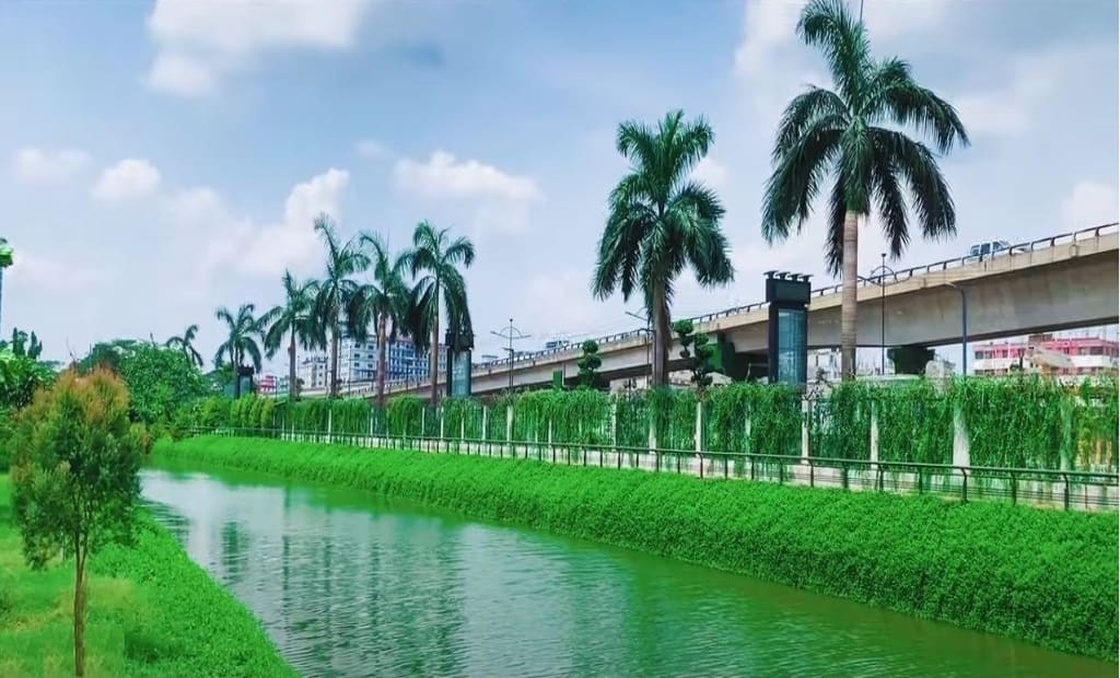 Riverbank with palm trees and railway bridge.