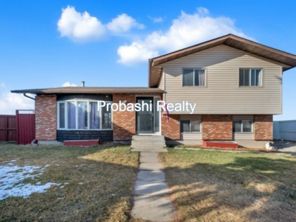 Upgraded Single-Family Home for Sale in Castleridge Calgary